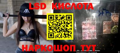 СК Волгодонск
