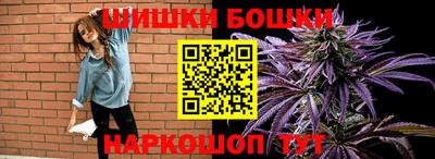 СК Волгодонск