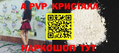СК Волгодонск