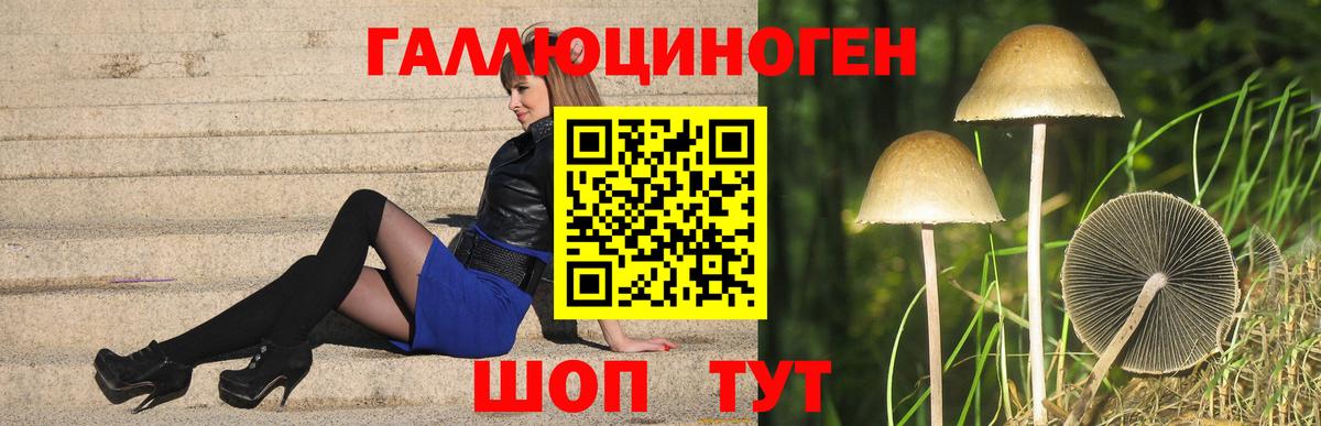 Галлюциногенные грибы прущие грибы Искитим