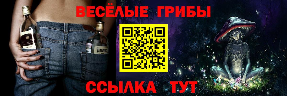 Искитим  Псилоцибиновые грибы ЛСД  Вход с VPN  Псилоцибиновые грибы прущие грибы 